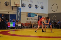 pun. Topi Puhakka, sin. Joona Mustonen